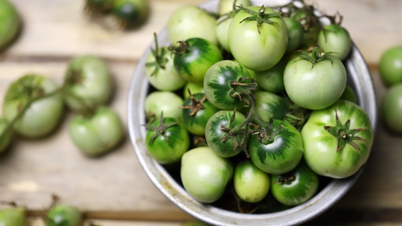 groene tomaten laten rijpen