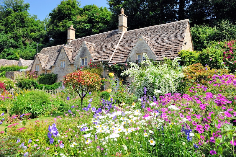 planten cottage tuin